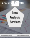 DATA ANALYSIS SERVICES