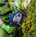 Hedge Trimming service in Auckland