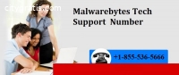 _+1*855*536*5666 Malwarebytes Tech Suppo