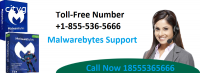 1855(536)5666 Malwarebytes Antivirus sup