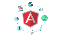 Angularjs Developer India