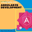 AngularJs Development Company