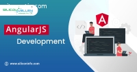 AngularJs Development France