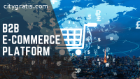 B2B Ecommerce Platform