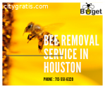 @Bee Removal