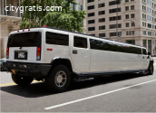 Berazu Limousine LLC - Transport Service