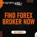 Best Broker For Forex Trading on Factors