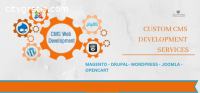 Best CMS Development Company  New Jersey