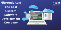 Best Custom Software Development Company