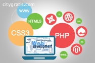 Best Web Development Company | DV