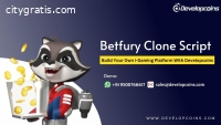 Betfury Clone Script