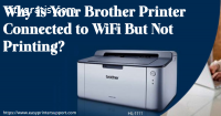 brother printer connected to wifi but no