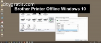 Brother Printer In Error State Windows10