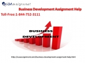 Business Development Assignment Help|USA