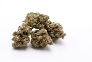 Buy Weed Online UK | Top Weed Online