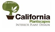 California Plantscapes