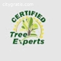 Certified Tree Experts