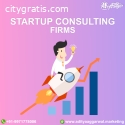 Choose one of the best startup consultin