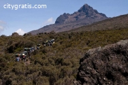 @Climbing Kilimanjaro on the Shira Route