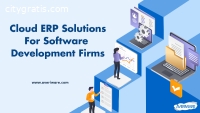 Cloud-Based ERP Solution For SMBs