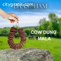 Cow Dung Cake Making