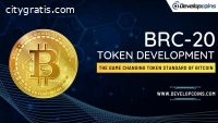 Create Your BRC20 Tokens