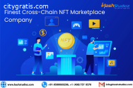 Cross-Chain NFT Marketplace Company