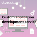 Custom application development service