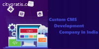 Custom CMS Development Company in India