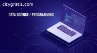 Data Science App Development Agency