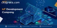 Do You Need IoT Development Services?