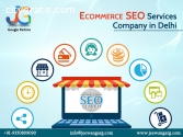 Ecommerce SEO Services Company in Delhi,