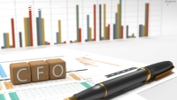 Expert Fractional CFO Services in Housto