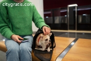 Explore Philippine Airlines Pet Travel