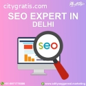 Find best seo expert in delhi