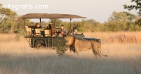 Find Cheapest Safaris in Africa