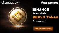 Launch your own BEP20 Token on BSC netwo