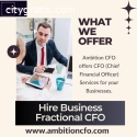 Hire Business Fractional CFO in Florida