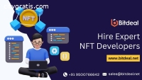 Hire Expert NFT Developers