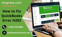 How to Fix QuickBooks Error H202