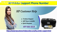 Hp Printer Support Number USA