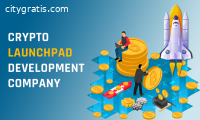 IDO launchpad development company