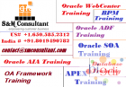 Instructor Led Live Online Oracle 11g DB