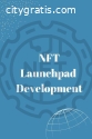 Investing on NFT launchpad development