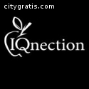 IQnection Web Design & Marketing