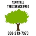 Kerrville Tree Service Pros