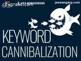 Keyword Cannibalization its Uses and Fe