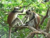 Lake Manyara National Park Tanzania