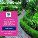 Landscape Design Sacramento Experts