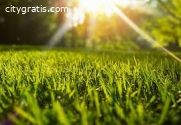 Lawn Care Services Maryland